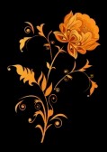 14357938-orange-decorative-flower-on-black-background-illustration